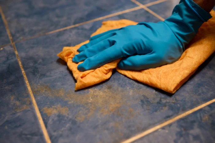 Oven and BBQ cleaning for grease free appliances